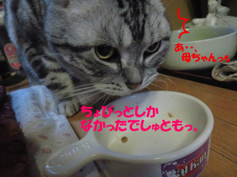 怒りゅ?