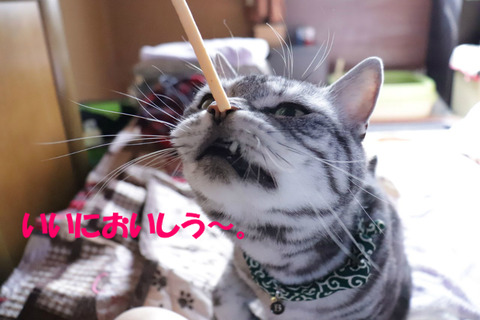 なに?こえ~。