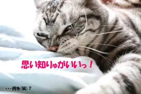 このやろ~!
