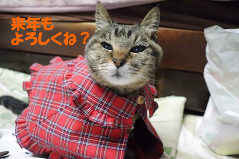 ね?