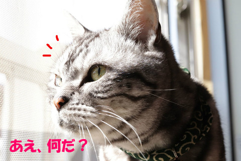 んっ?
