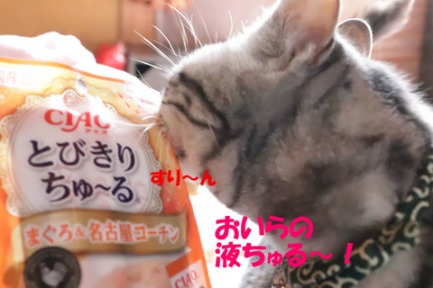 わーい♪
