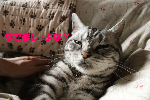 ね?