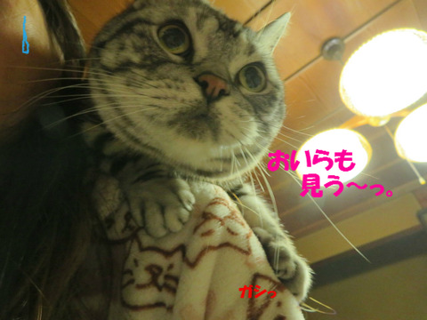 母ちゃん、なにしてう?