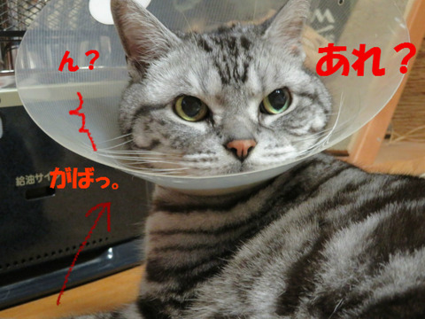 えーっと・・・。