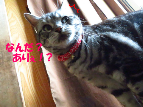 んっ!?