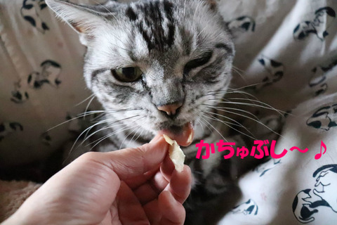 わーい♪