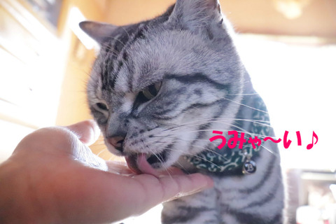 ♪
