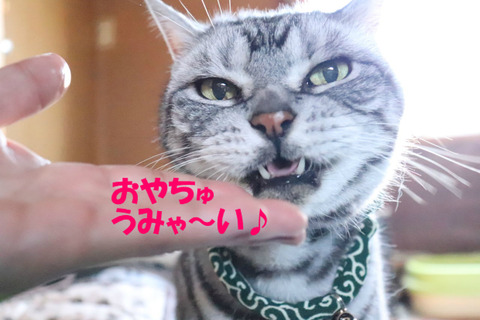 もっと~。