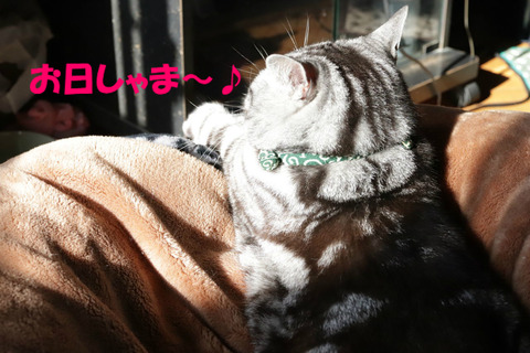 ふぃ~。