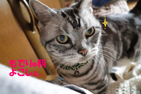写真、撮りまちたよな?
