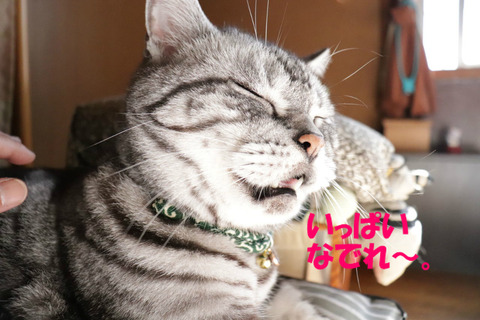 もっと~。