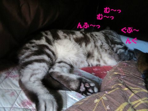 zzz…