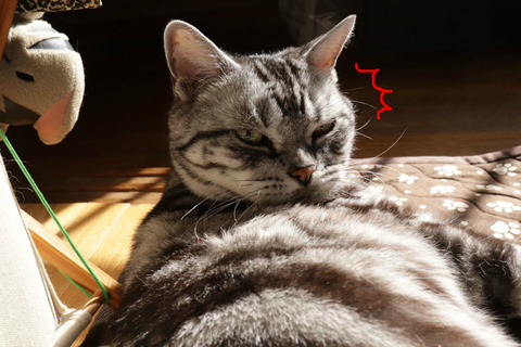 BlogPaint