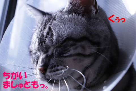 う~。