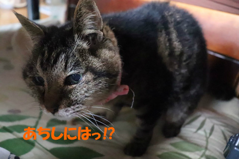 !?