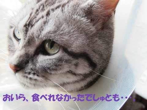 いいにおいだったのに。