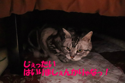 むぅぅ。