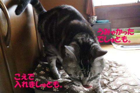 BlogPaint