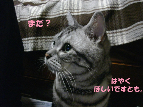 おやつ、おやつ!