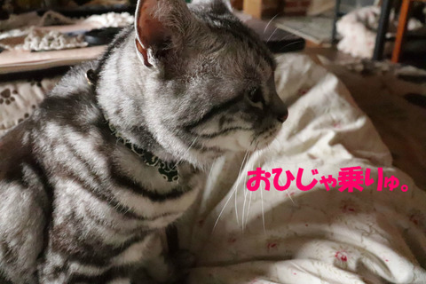 ~♪