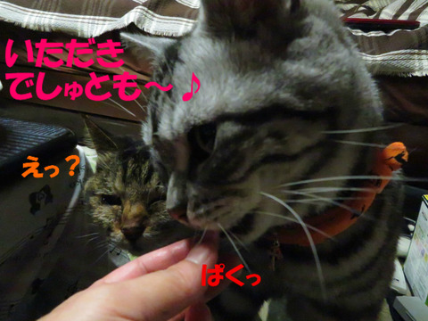 おいらが食べうっ。