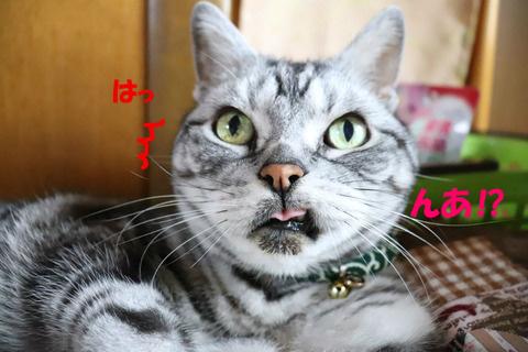 !?