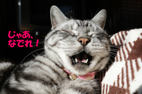 さぁっ!