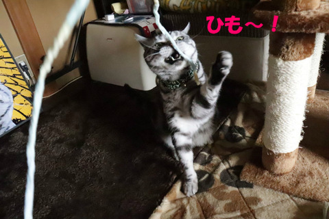 !