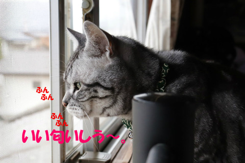 ふぉ~。