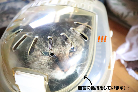 開かないわっ💦