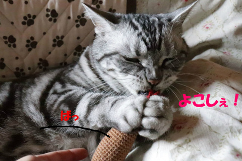 !