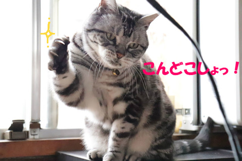 むむ~。