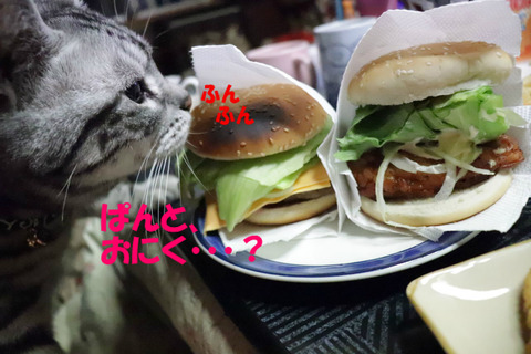 ちーじゅとちきんもにおう!