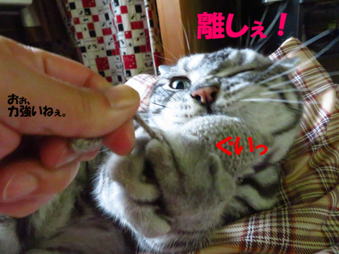 む~ん。