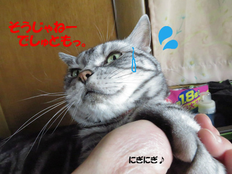 やめれったら!
