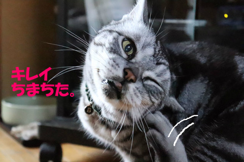 ふぃ~。