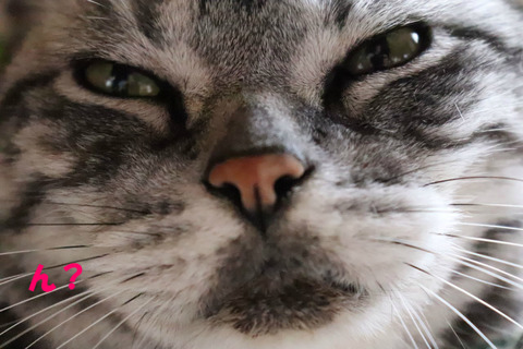 ?