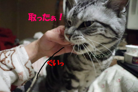 ふふん。