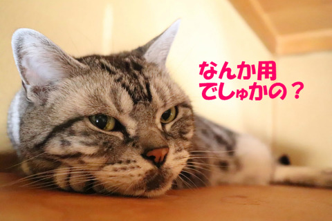 ん?