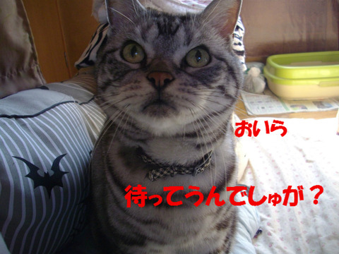 はやくちて