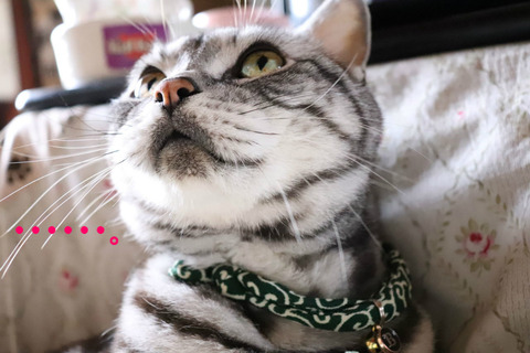 ・・・。
