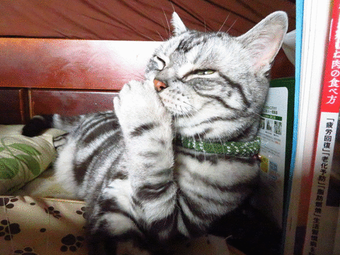 あ~、うるしぇえ。