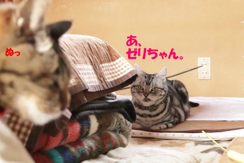 !