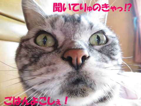 ねぇっ!