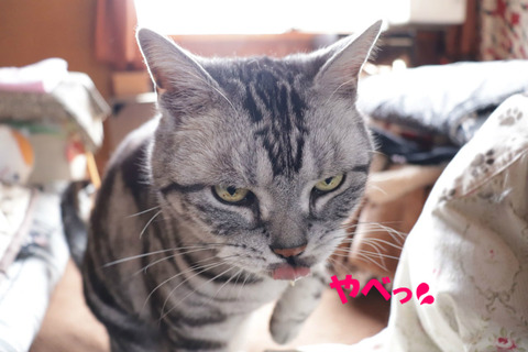 おこらえう~💦