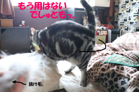 ふ~、やれやれ。