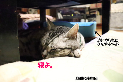ふぅ。