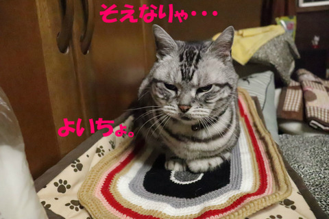 ふぅ。