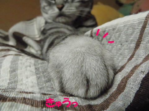 ん?